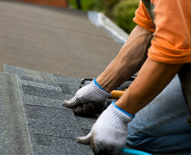 Best Local Roofing Companies  in Wentzville, MO