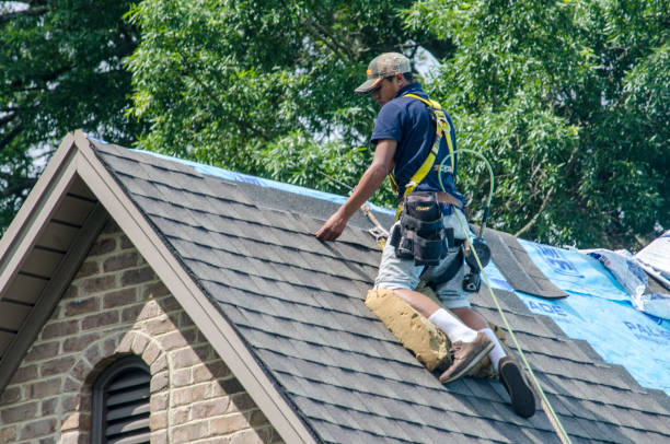 Best Roof Gutter Cleaning  in Wentzville, MO